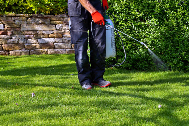 Professional Pest Control in Orange, OH